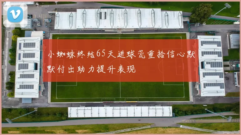 小蜘蛛终结65天进球荒重拾信心默默付出助力提升表现